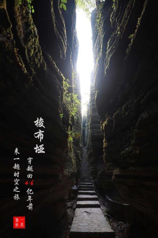 街头霸王5