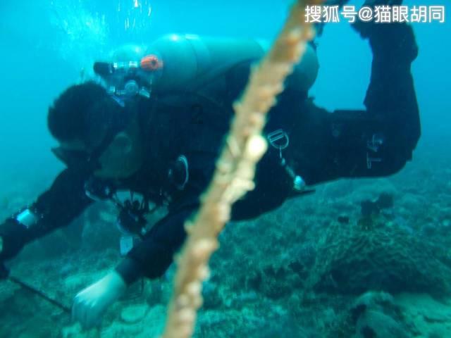 方城县拐河镇:“一保五滤”工作法促进乡村振兴